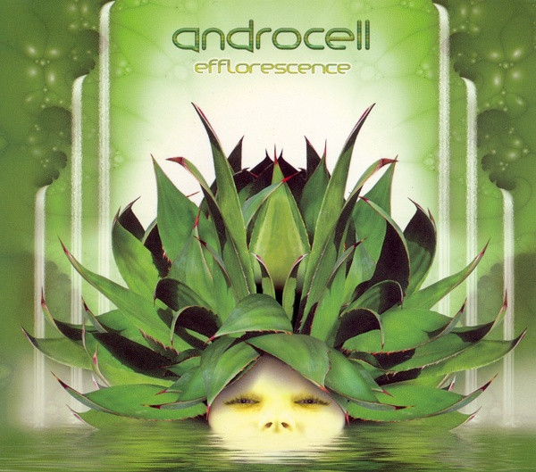 Androcell – Efflorescence