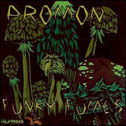 Promon Funky Fumes Inpsyde Media (Italy) – Promon Funky Fumes Inpsyde Media (Italy)
