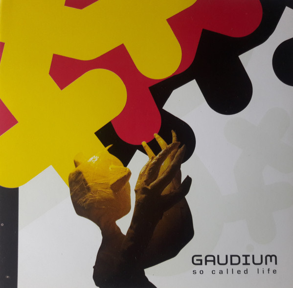 Gaudium – So Called Life