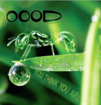 OOOD – You Think You Are