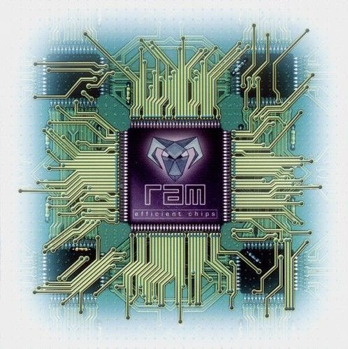 RAM – Efficient Chips